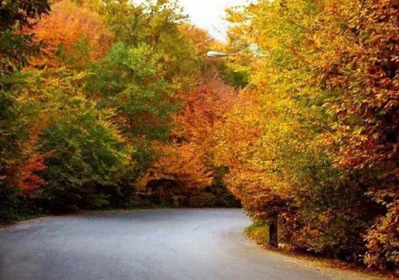 پارک جنگلی ناهار خوران، معروف ترین و زیباترین پارک گرگان