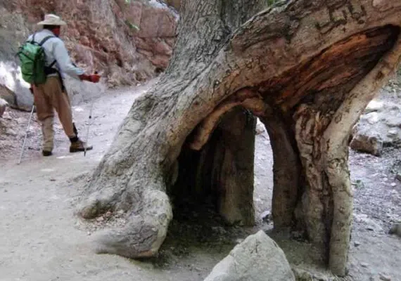 آبشار آتشگاه، طولانی ترین آبشار ایران، آبشاری مینیاتوری