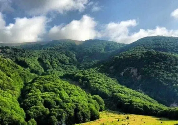 دریاچه بره سر - دریاچه ویستان