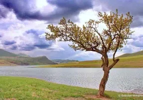 دریاچه سد تهم، نگین آبی شهر زنجان