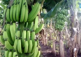 روستای درک زر آباد، روستایی با چهار ساحل متنوع