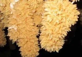 زرین غار خدابنده، لذت یک غار نوردی بکر