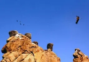 قلعه لک لک ها، شگفتی از طبیعت