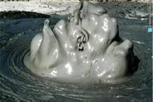 گل فشان پزم، محل درمان دردهای عضلانی و بیماری های پوستی