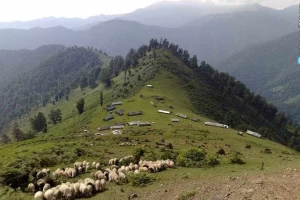 منطقه ییلاقی دشت النزه ماسال