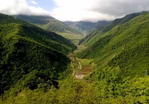 جنگل افراتخته علی آبادکتول