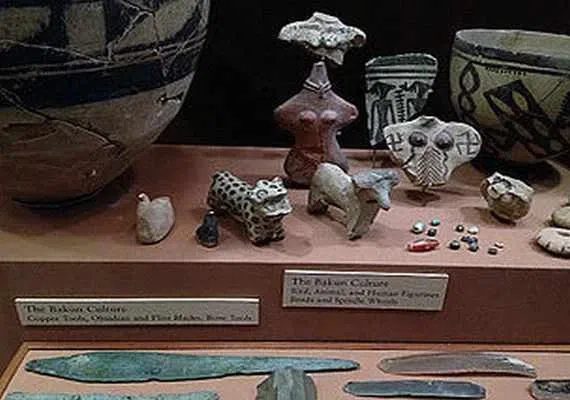 تل باکون، دشتی در کنار تخت جمشید