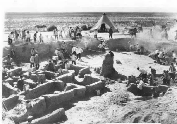 تل باکون، دشتی در کنار تخت جمشید