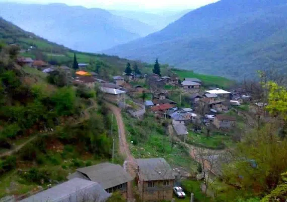 جنگل افراتخته علی آبادکتول
