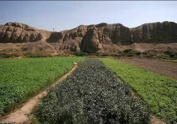 قلعه گبری، قلعه ای تاریخی