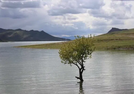 دریاچه سد تهم، نگین آبی شهر زنجان