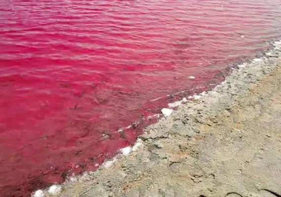 لیپار، دلربای صورتی ایران