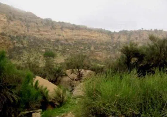 پناهگاه حیات وحش کوه سیاه