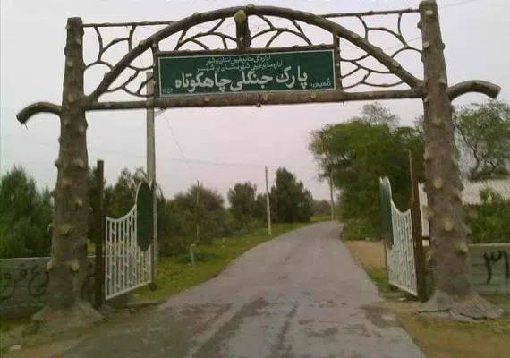 پارک جنگلی چاهکوتاه