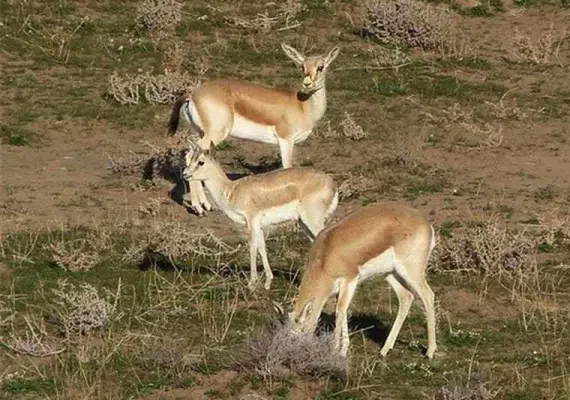 آبشار ماری دره سی، گشتی در طبیعت زیبای زنجان