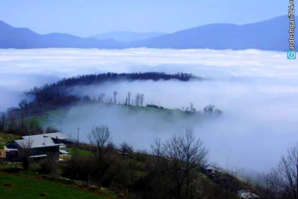 جنگل افراتخته علی آبادکتول