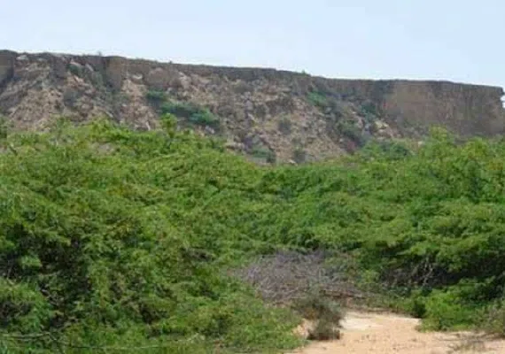 لیپار، دلربای صورتی ایران