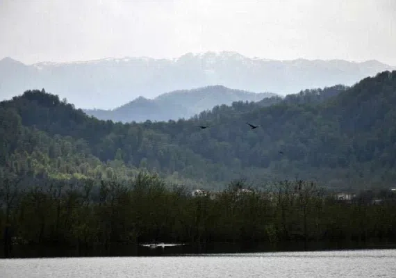 تالاب استیل