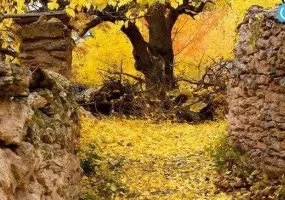 آبشار کالاش، باغ امینی