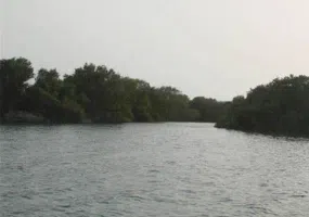 منطقه حفاظت شده و پارک ملی دریایی نایبند