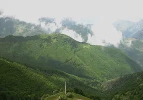 جنگل ارسباران، از زیباترین جنگل های ایران