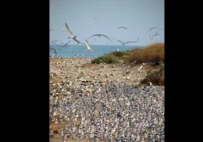 منطقه حفاظت شده مند
