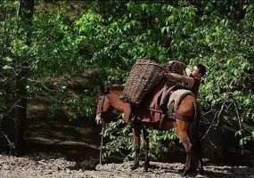 روستای اشتبین، ماسوله ای در همسایگی ارس