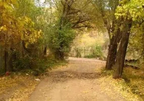 روستای جزینان