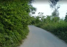 شهرستان سیاهکل