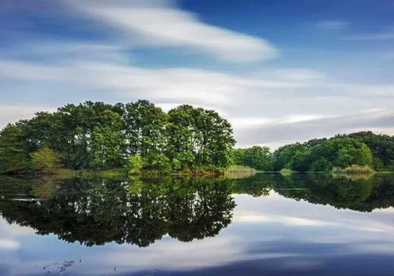 تالاب سوستان لاهیجان