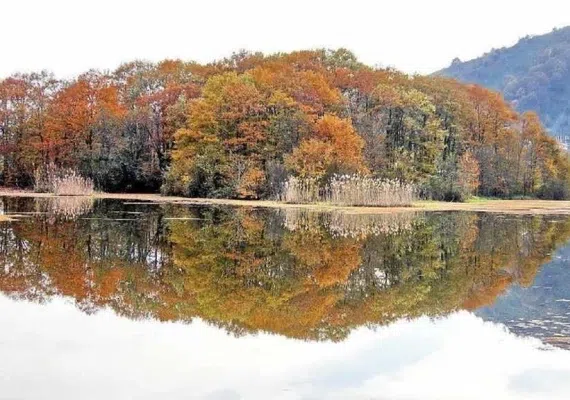 تالاب سوستان لاهیجان