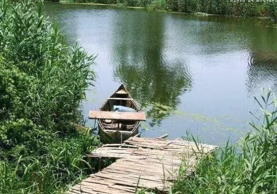 تالاب کیاکلایه لنگرود