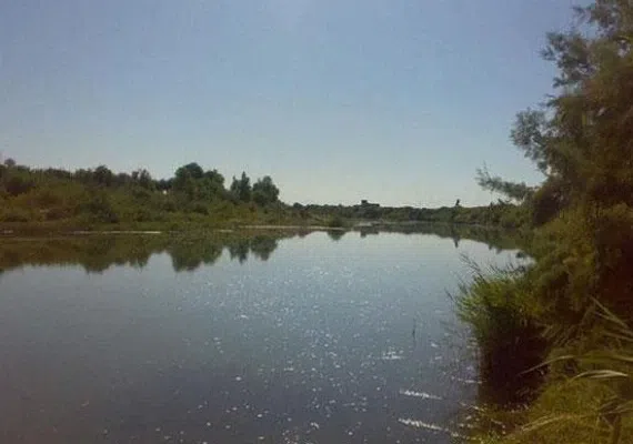 تالاب بین المللی قره قشلاق بناب