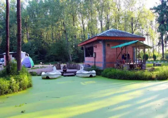 پارک جنگلی سراوان