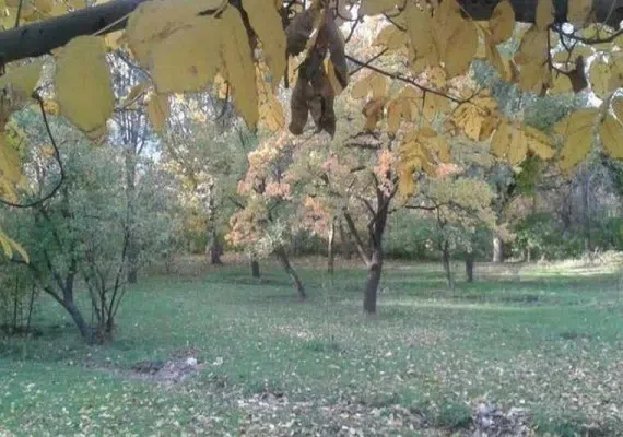 روستای الماس شبستر