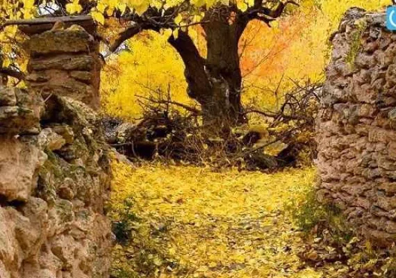 آبشار کالاش، باغ امینی