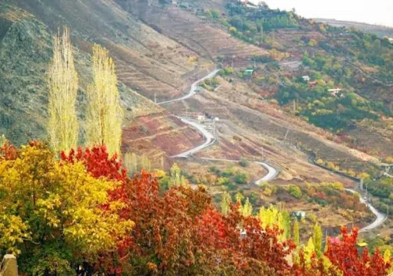 روستای امامه