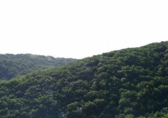 دره مکیدی (مکیدی دره سی) شهرستان کلیبر