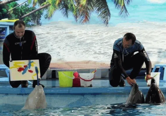 پارک باغلار باغی تبریز