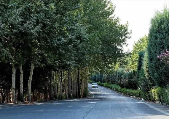 پارک جنگلی چیتگر، پارکی با امکانات متعدد