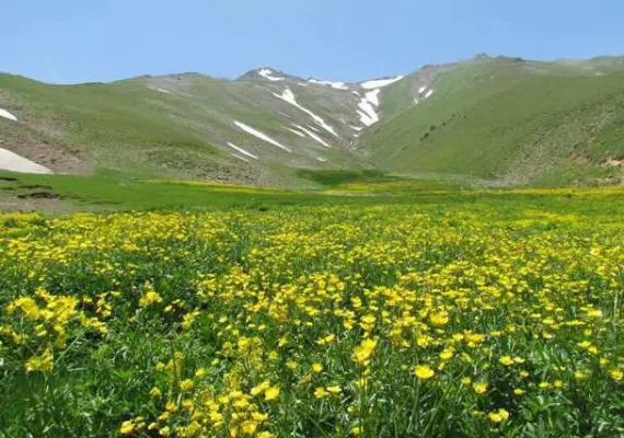 منطقه حفاظت شده انگوران