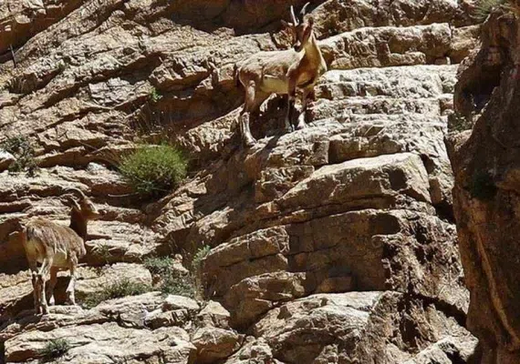 پارک ملی کنتال، پارکی در مرز ارمنستان و جمهوری آذربایجان