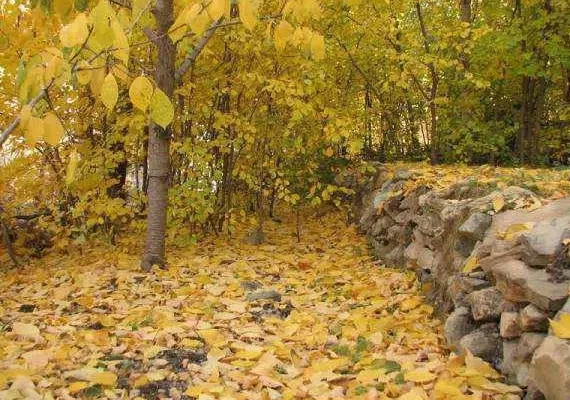 روستای شهرستانک