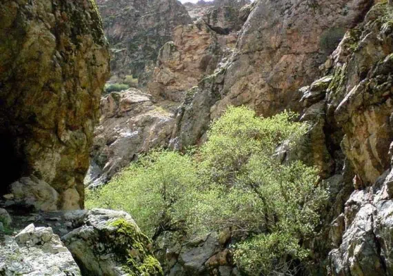 دره کن-سولقان، منطقه ای سرسبز