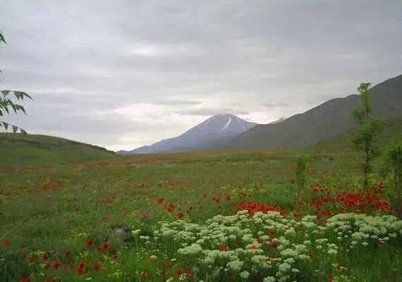 پارک ملی کنتال، پارکی در مرز ارمنستان و جمهوری آذربایجان