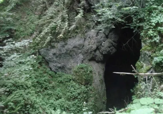 غار آویشوی، غار رودخانه ای