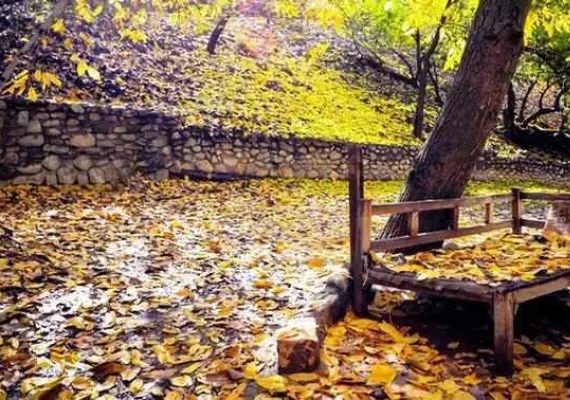 روستای برغان، بهشتی در ساوجبلاغ
