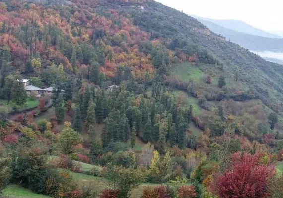 درفک، آشیانه ی پرنده ی یخی، بام گیلان و محل عبور فرشتگان