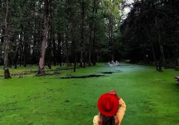 بندر کیاشهر