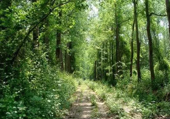 روستای صفرابسته آستانه اشرفیه گیلان